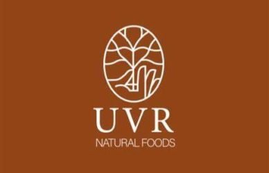 FOOD TECH NETWORK INTERNSHIP